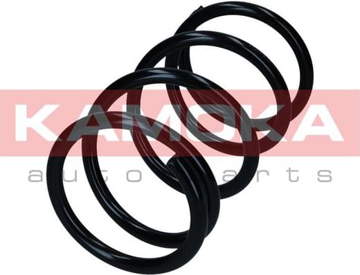 Suspension Spring 2110499 - image 3