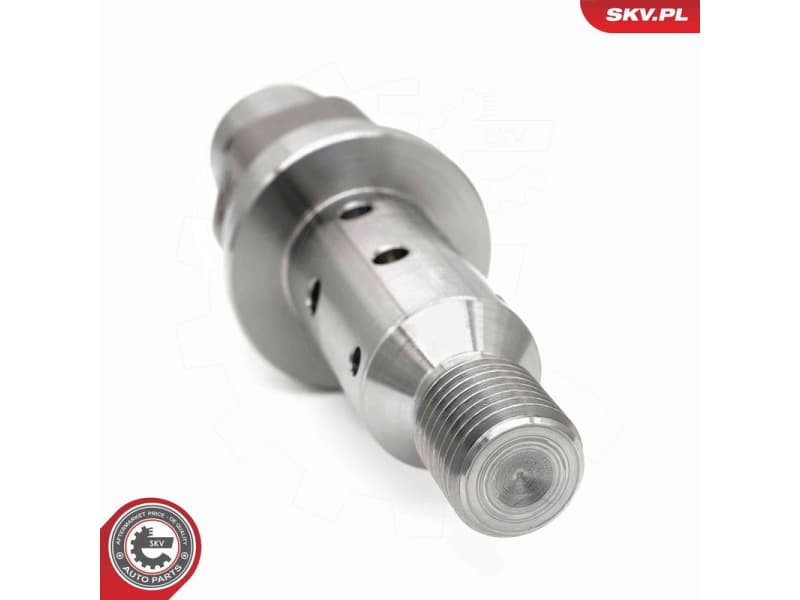 Control Valve, camshaft adjustment 39SKV069