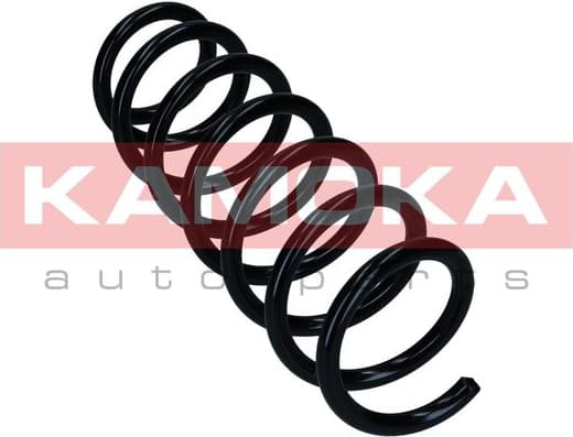 Suspension Spring 2110419