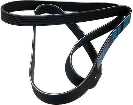V-ribbed Belt 06-01580-SX