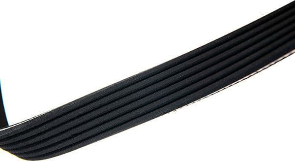V-ribbed Belt 06-01580-SX - image 4