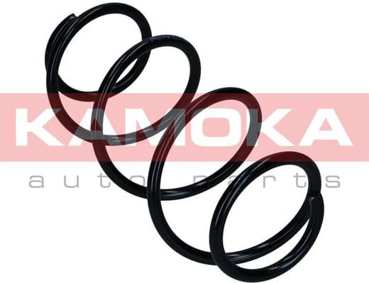 Suspension Spring 2110736