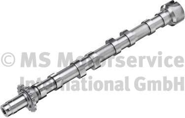 Camshaft 50007872