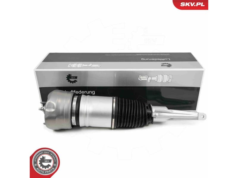 Air Suspension Strut 58SKV707