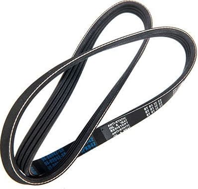 V-ribbed Belt 94-00942-SX