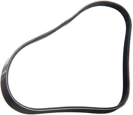 V-ribbed Belt 94-00942-SX - image 2