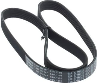 V-ribbed Belt 1 987 945 147