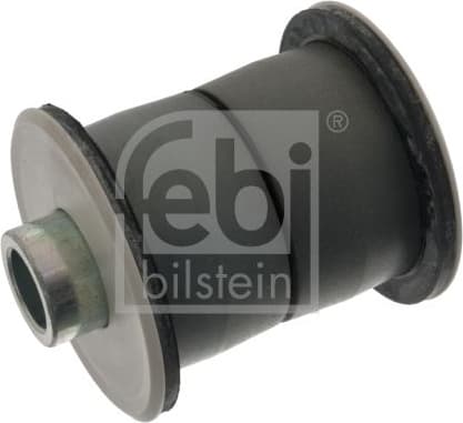 Bushing, leaf spring 100696
