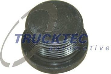 Screw Plug, axle drive 01.67.056