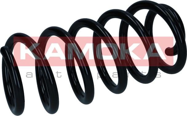 Suspension Spring 2120593 - image 4