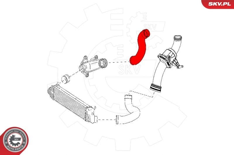 Sell out 43SKV177-X - image 4