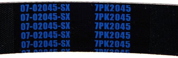 V-ribbed Belt 07-02045-SX - image 3