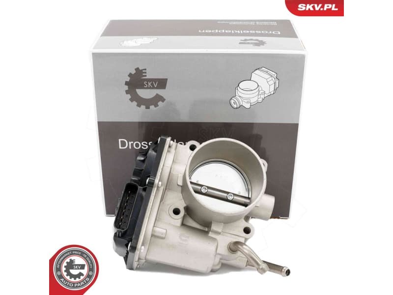 Throttle Body 12SKV138