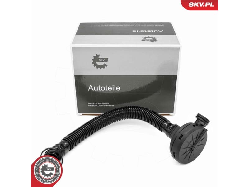 Valve, crankcase ventilation 31SKV407