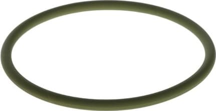 Rubber Ring F 00R 0P0 353