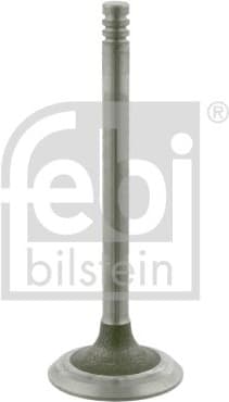 Intake Valve 23956