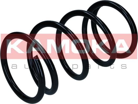 Suspension Spring 2110496 - image 3