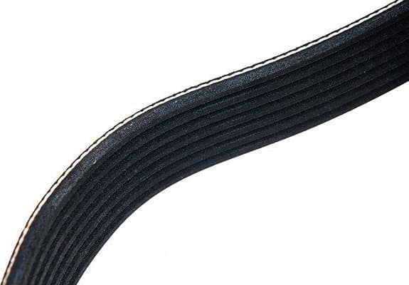 V-ribbed Belt 07-01280-SX - image 4