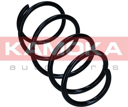 Suspension Spring 2110799