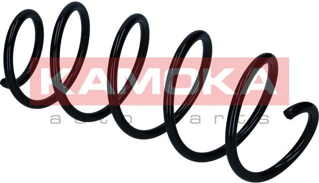 Suspension Spring 2110711