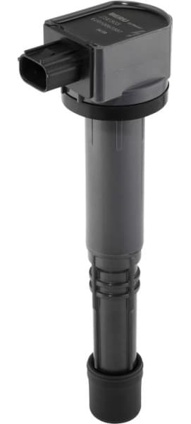 ZSE303 (BorgWarner (BERU))