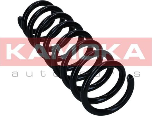 Suspension Spring 2120470