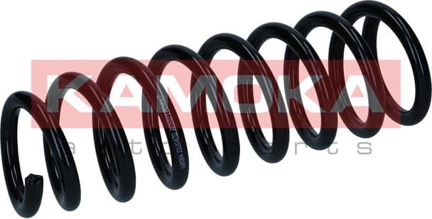 Suspension Spring 2120470 - image 4