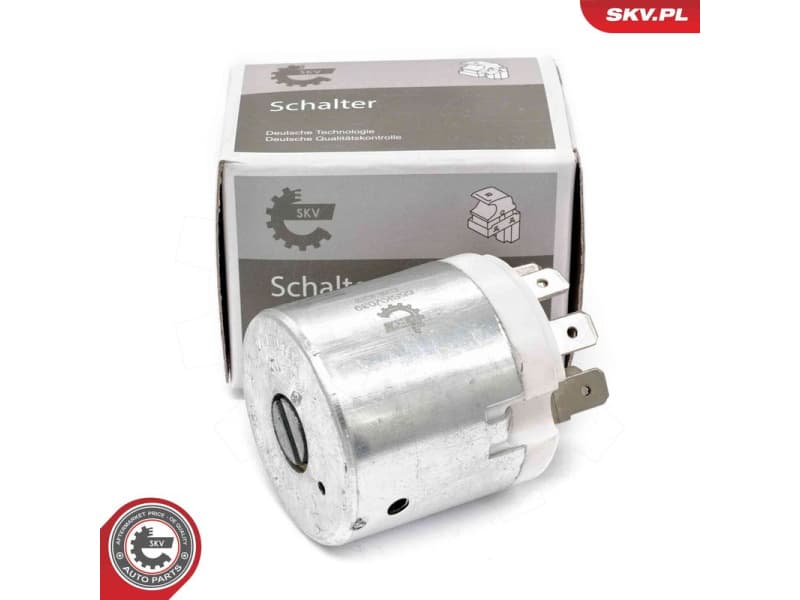 Ignition Switch 65SKV039