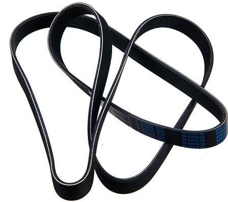 V-ribbed Belt 96-01910-SX