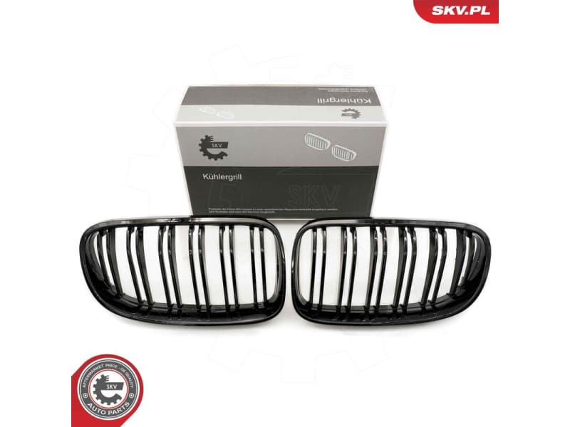 Radiator Grille 66SKV116