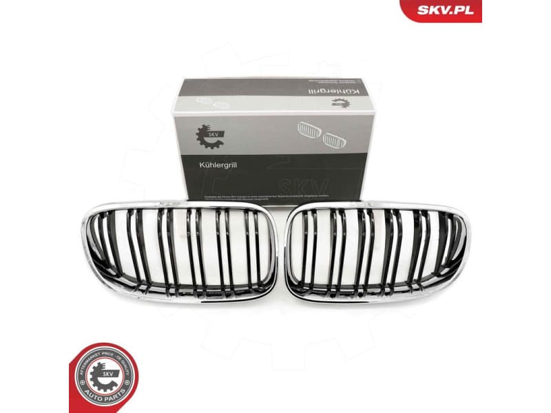 Radiator Grille 66SKV118