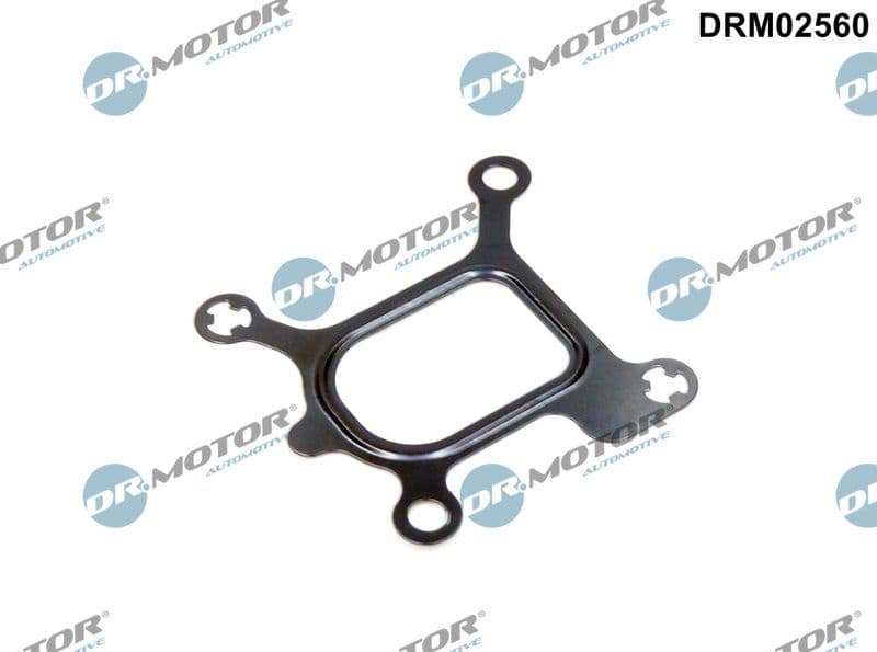 Gasket, coolant flange DRM02560