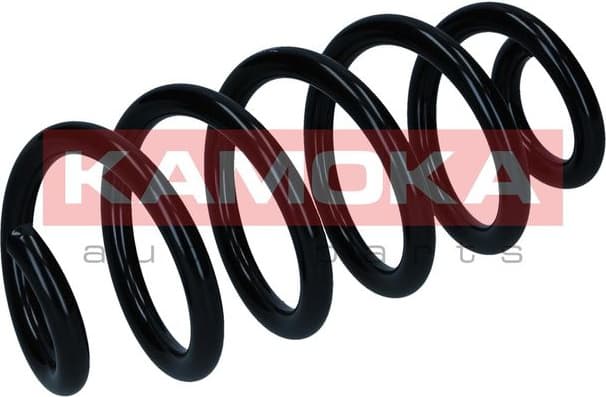 Suspension Spring 2120594