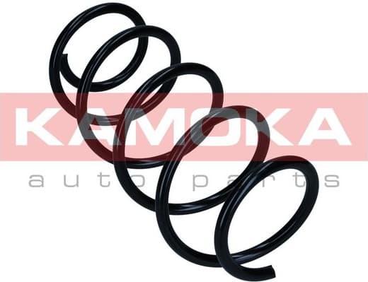 Suspension Spring 2110572