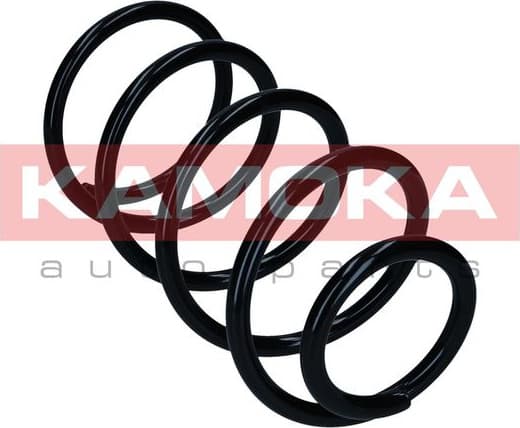 Suspension Spring 2110868