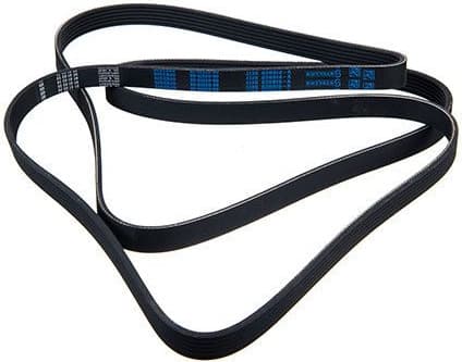 V-ribbed Belt 06-02579-SX - image 2