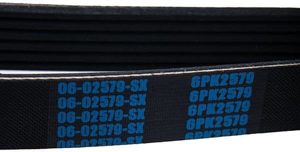 V-ribbed Belt 06-02579-SX - image 3