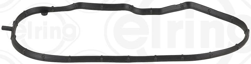 Gasket, timing case cover 577.650