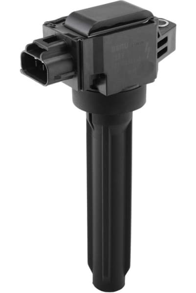 ZSE319 (BorgWarner (BERU))