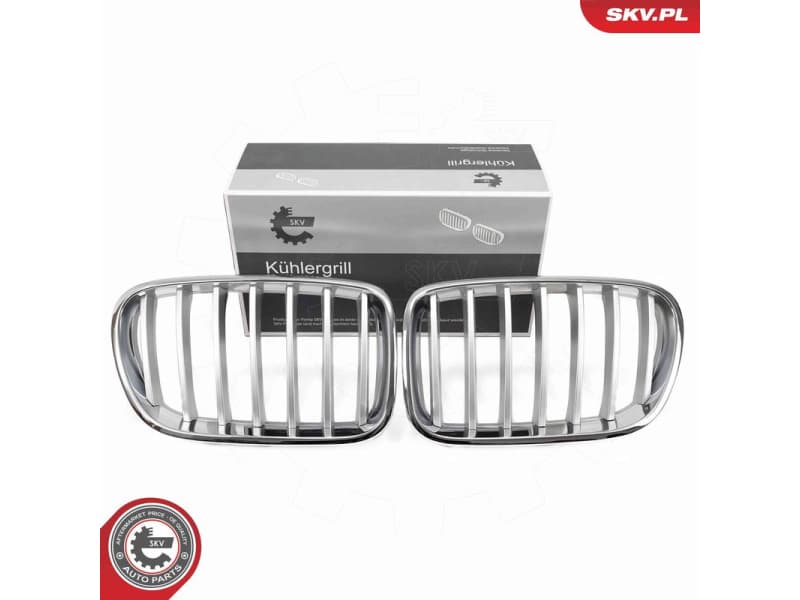 Radiator Grille 66SKV251