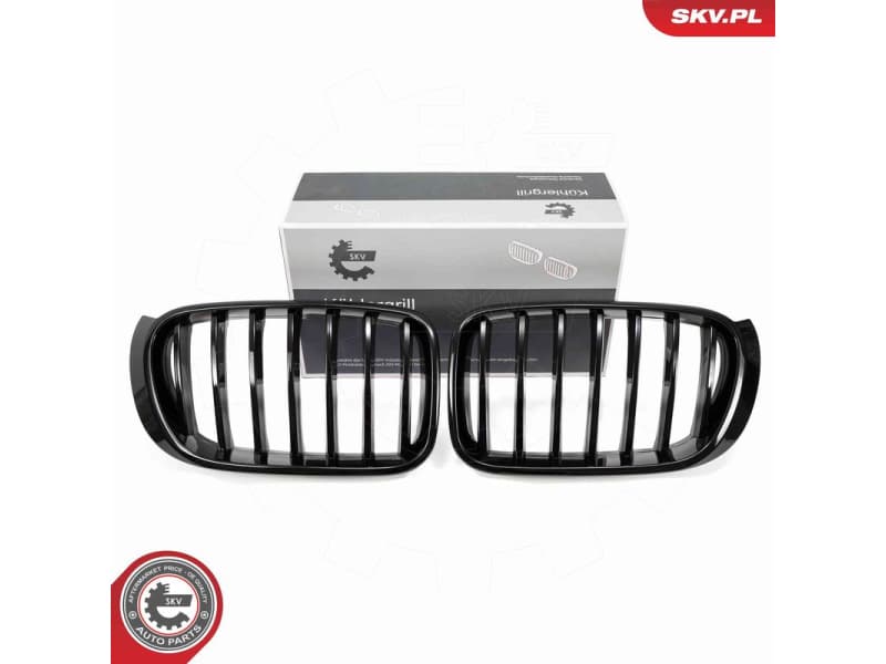 Radiator Grille 66SKV254