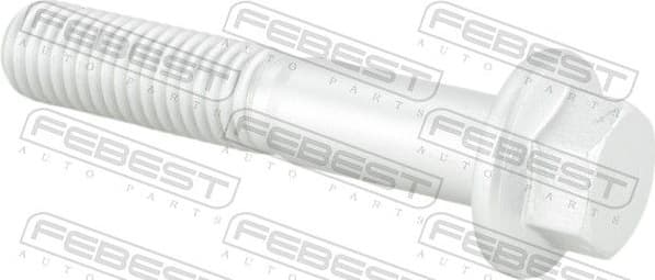 Fastening Bolt, control arm 2198-011