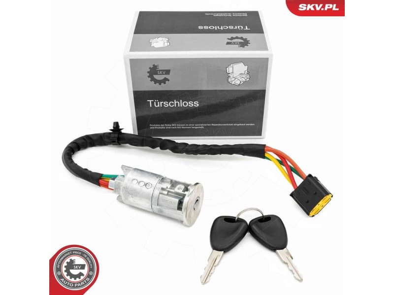 Ignition Switch 65SKV239