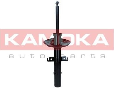 Shock Absorber 2001187