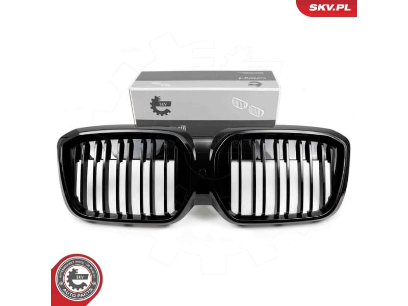 Radiator Grille 66SKV316