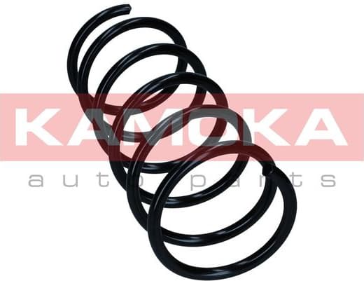 Suspension Spring 2110554