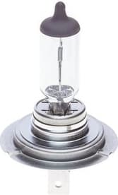 Bulb, front fog light Pure Light BL 1987301012 - image 5