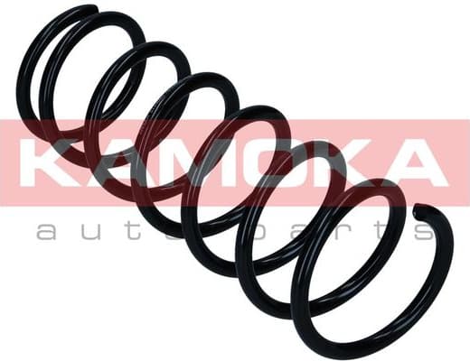 Suspension Spring 2110883