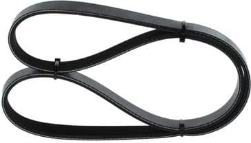 V-ribbed Belt 1987947915 - image 7