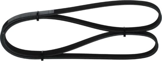 V-ribbed Belt 1987948459 - image 5
